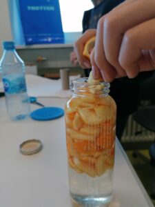 natürlicher Orangenreiniger