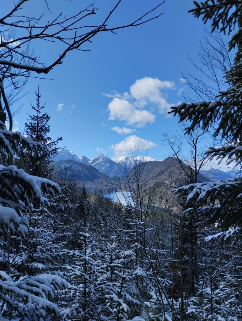 Schwangau10