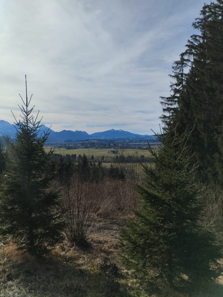 Schwangau7
