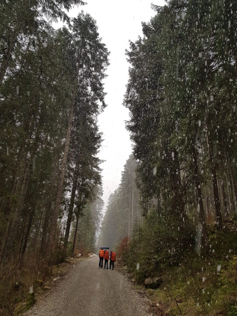 WhatsApp Image 2023-04-26 at 19.25.18 (1)