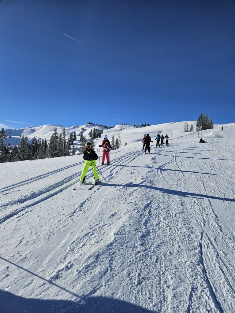 ski3