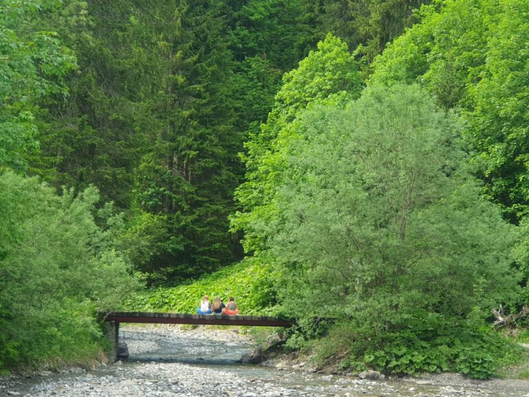 IMG-20260609-WA0005